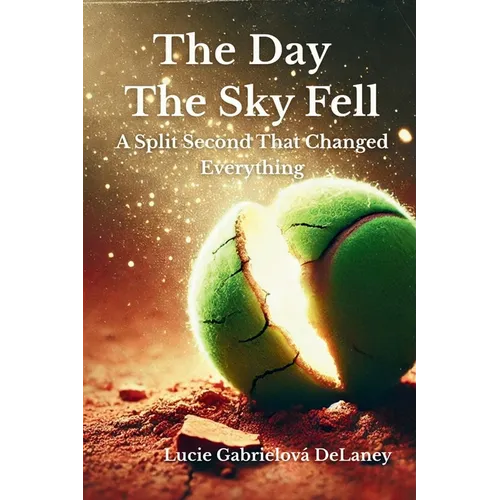 The Day The Sky Fell: A Split Second That Changed Everything