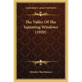 The Valley Of The Squinting Windows (1920)