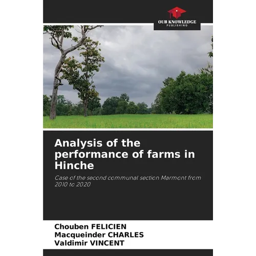 Analysis of the performance of farms in Hinche