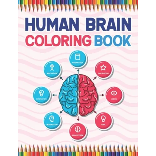 Human Brain Coloring Book: The Human Brain Coloring Book. Human Brain Model Anatomy, Human Brain Diagram, Human Brain Art, Human Brain and Human