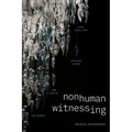 Nonhuman Witnessing: War, Data, and Ecology After the End of the World
