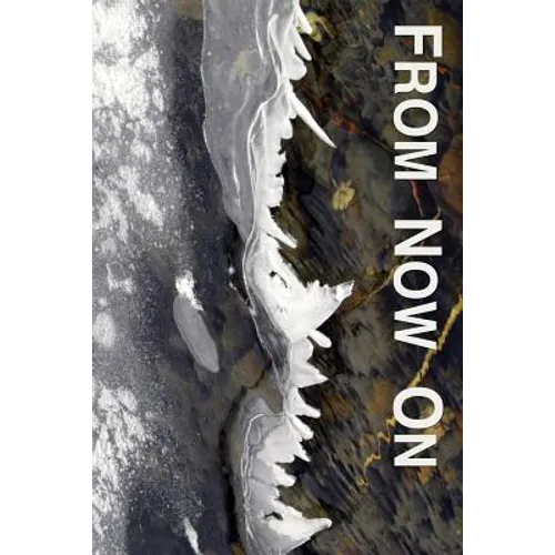 From Now On: Easing and Transforming Lives Interrupted by Illness or Injury: an Introduction to the Philosophy, Practices, and Proc