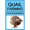 Quail Farming For Beginners