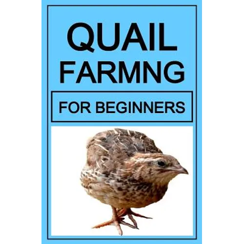 Quail Farming For Beginners