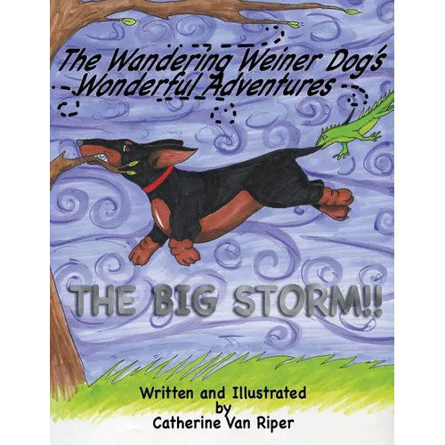 The Wandering Weiner Dog's Wonderful Adventures: The Big Storm!!