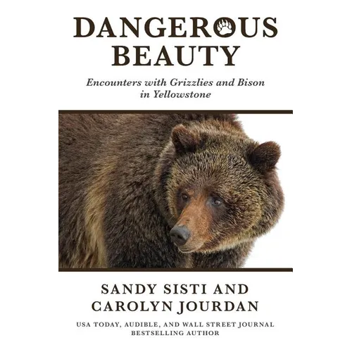 Dangerous Beauty: Encounters with Grizzlies and Bison in Yellowstone