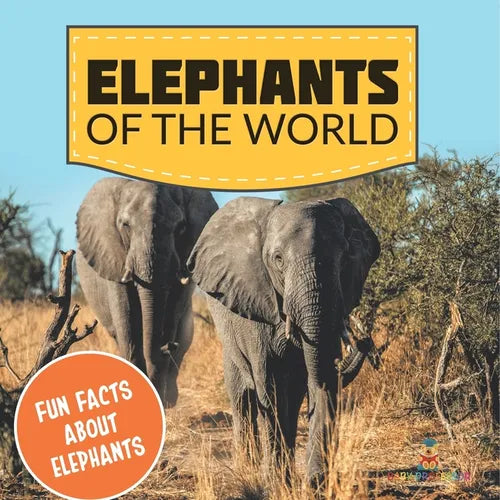 Elephants of the World: Fun Facts About Elephants