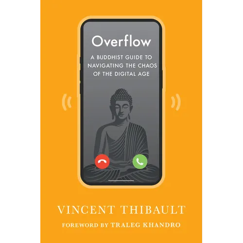 Overflow: A Buddhist Guide to Navigating the Chaos of the Digital Age