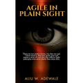 Agile In Plain Sight: These are not perfect stories, but they are real. I share mine so they may spark yours and inspire a story of your own that refl