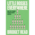 Little Bosses Everywhere: How the Pyramid Scheme Shaped America