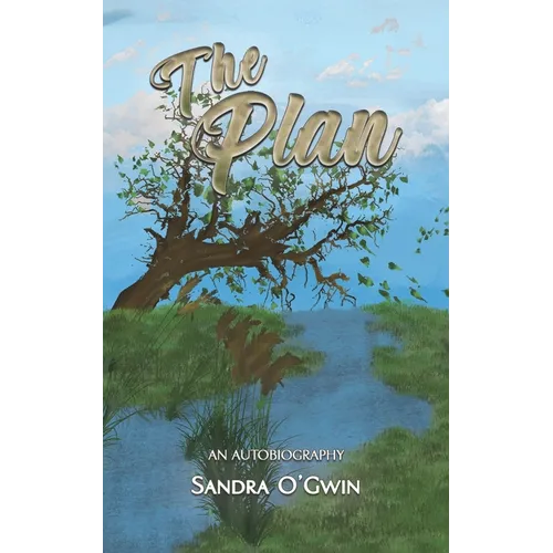 The Plan