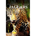 Jaguars - Curious Kids Press