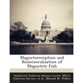 Magnetoreception and Biomineralization of Magnetite Fish