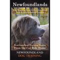Newfoundlands Dog Training Book for Newfoundland Dogs & Newfoundland Puppies by D!G THIS DOG Training: Newfoundland Training Begins From the Car Ride