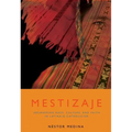 Mestizaje: Remapping Race, Culture, and Faith in Latina/O Catholicism