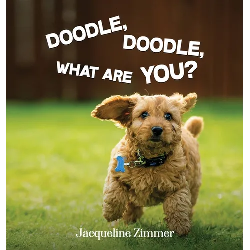 Doodle, Doodle, What Are You?