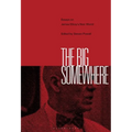 The Big Somewhere: Essays on James Ellroy's Noir World