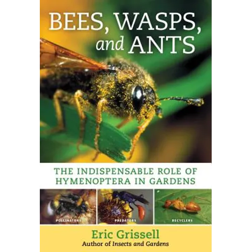 Bees, Wasps, and Ants: The Indispensable Role of Hymenoptera in Gardens