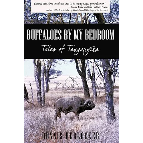 Buffaloes by My Bedroom