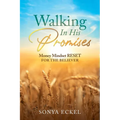Walking In His Promises: Money Mindset Reset for the Believer