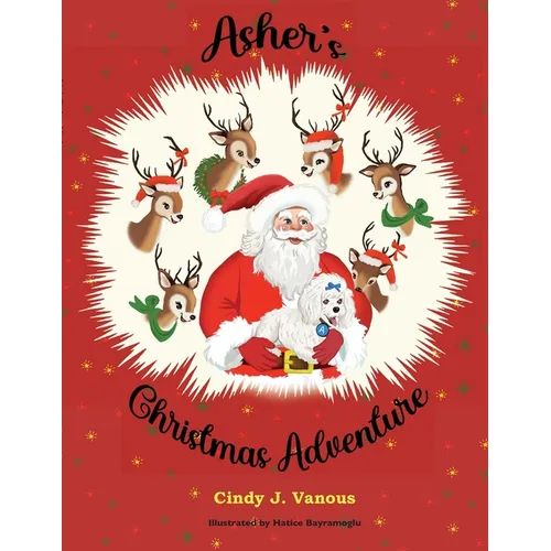 Asher's Christmas Adventure