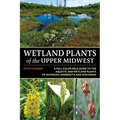 Wetland Plants of the Upper Midwest