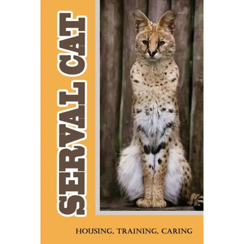 Serval Cat: Housing, Training, Caring: Care Guide For Serval Cat