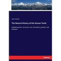 The Natural History of the Human Teeth: Explaining their structure, use, formation, growth, and diseases