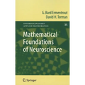 Mathematical Foundations of Neuroscience