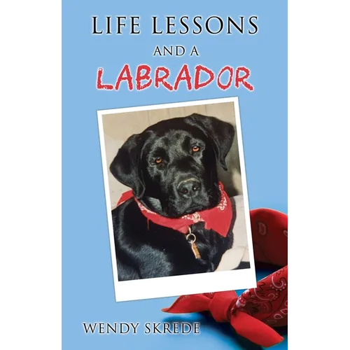 Life Lessons and a Labrador