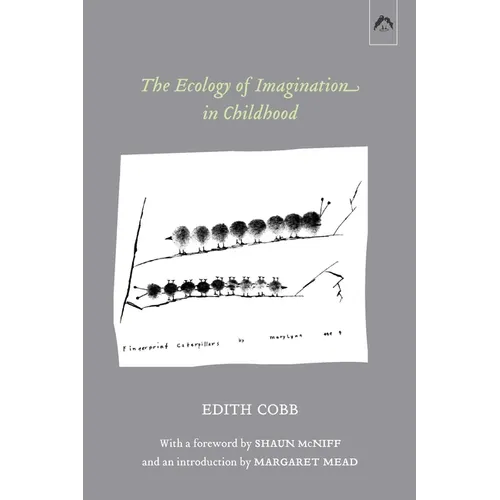 The Ecology of Imagination in Childhood