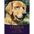 Charlie: A Love Story