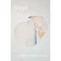 Break: poems on mental illness