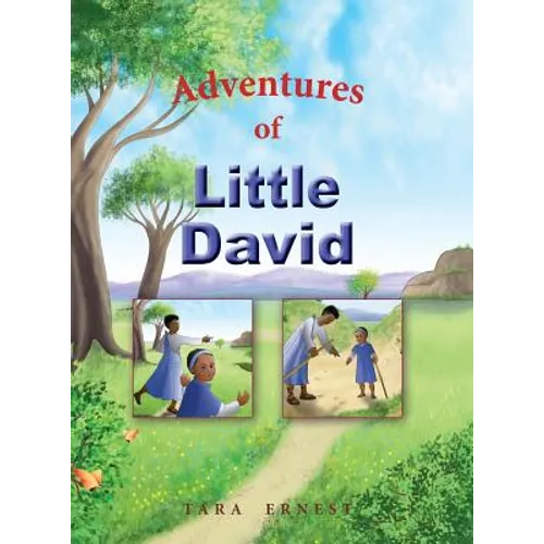 Adventures of Little David