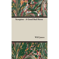 Scorpion - A Good Bad Horse