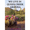 We Live In Queen Creek Arizona: If it were not for the Mafia we would most likely not have moved to Queen Creek