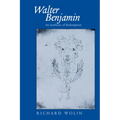 Walter Benjamin: An Aesthetic of Redemption Volume 7