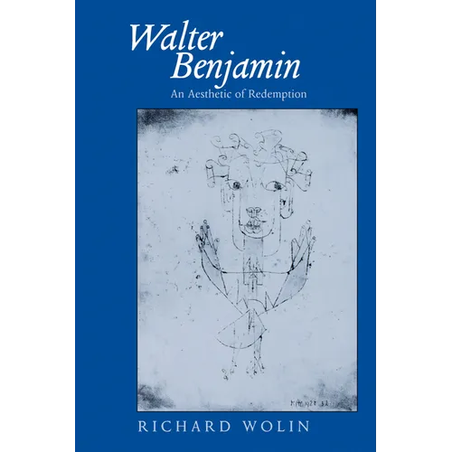 Walter Benjamin: An Aesthetic of Redemption Volume 7