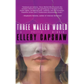 Three Walled World