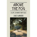 Above the Fog: A Life Journey with DES