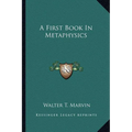 A First Book In Metaphysics