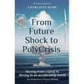 From Future Shock to PolyCrisis