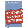 Why Is There No Socialism in the United States?