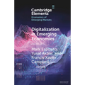 Digitalization in Emerging Economies