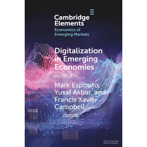 Digitalization in Emerging Economies