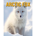 Arctic Fox: Fun Facts Book for Kids