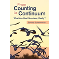 From Counting to Continuum