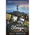 Taking In Strays: Leadership Lessons From Unexpected Places