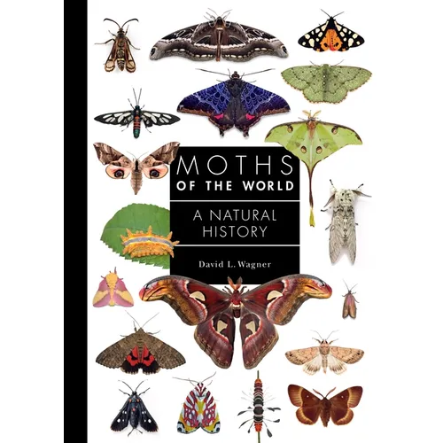 Moths of the World: A Natural History
