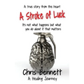 A Stroke of Luck: A Healing Journey Recovering From A Stroke